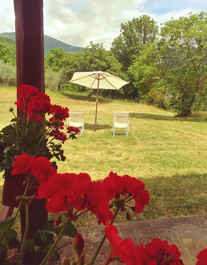 Agriturismo Botro Pulicciano Exteriér fotografie