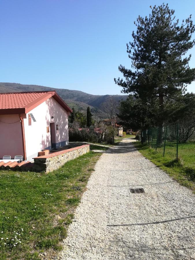 Agriturismo Botro Pulicciano Exteriér fotografie